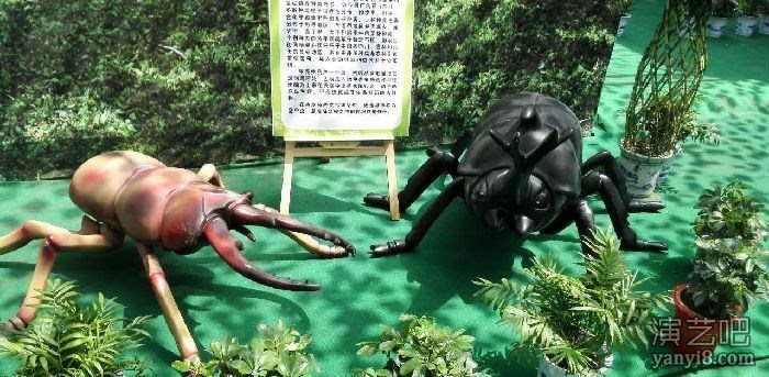巨型机械昆虫模型出租/火爆展览人气会动会叫昆虫出租