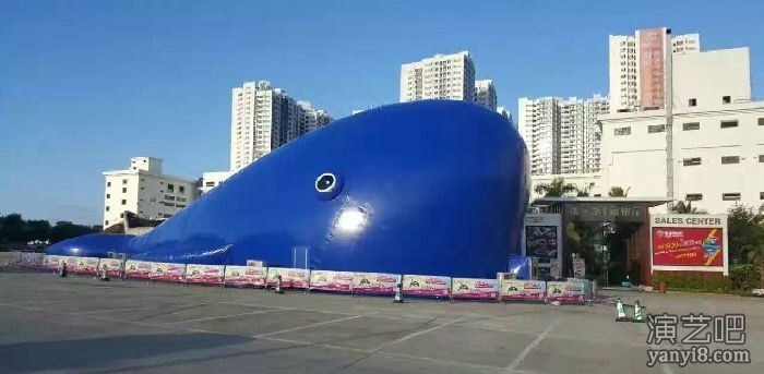 巨型鲸鱼岛乐园租赁 鲸鱼岛乐园出租 鲸鱼岛乐园价格 鲸
