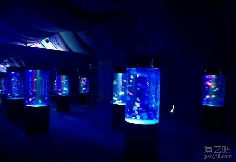 海洋生物展ppt梦幻海洋展出租报价企鹅海狮租赁