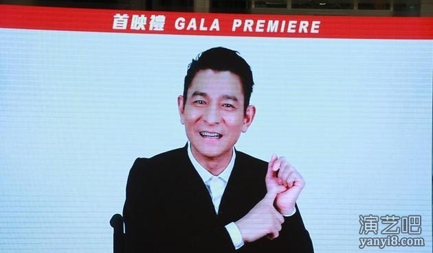 刘德华堕马后工作叫停 宣布2018年将开演唱会 