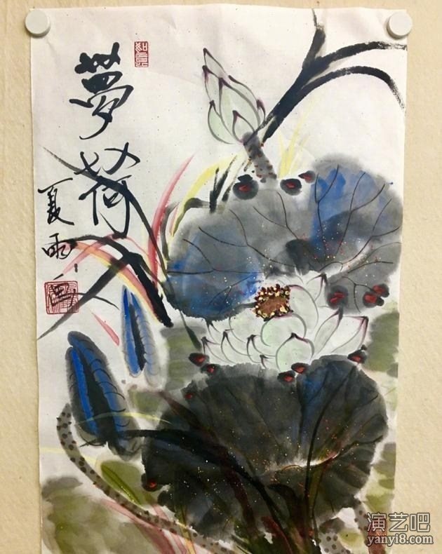 被演艺事业耽误的画家 夏雨作画朵朵荷花跃然纸上