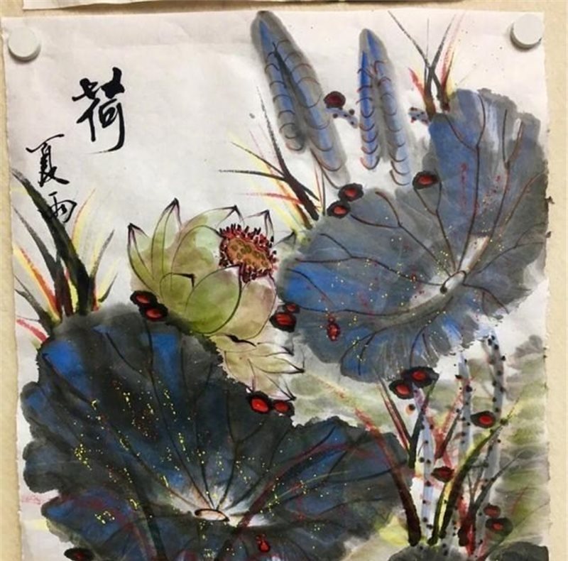 被演艺事业耽误的画家 夏雨作画朵朵荷花跃然纸上