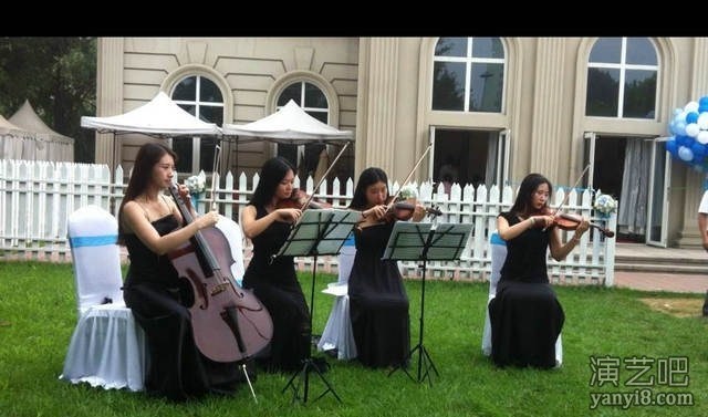 提琴乐队组合迎宾乐队
