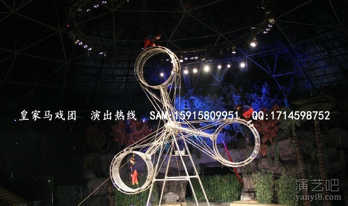 广州马戏团表演|广州马戏团大型演出团队