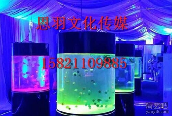 专业海洋展出租 海洋生物出租