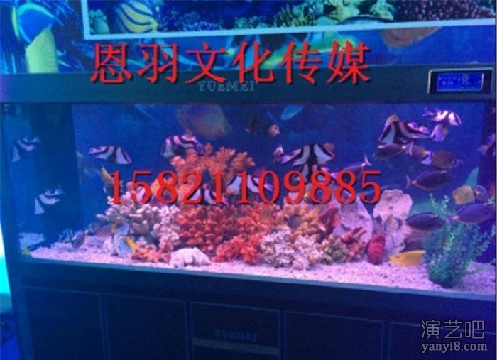 专业海洋展出租 海洋生物出租