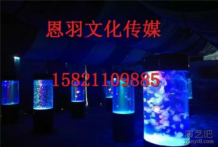 大型海洋展出租方案 海洋展出租布置 海洋展出租租赁