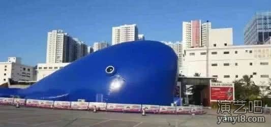 鲸鱼岛租赁 蓝色鲸鱼岛租售 鲸鱼岛报价物料清单