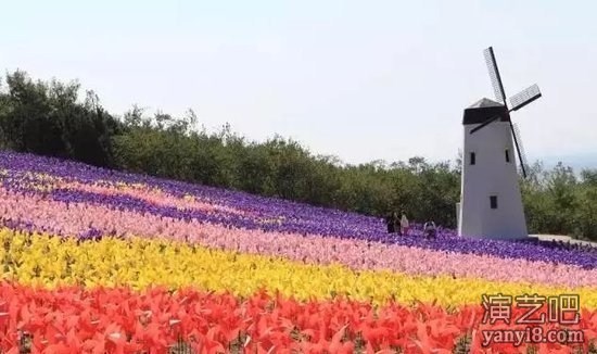 上海大型艺术风车展设计制作 风车展出租 风车展租赁 风