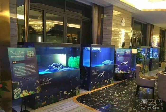 海洋生物展资源各种观赏生物展览海洋展租赁