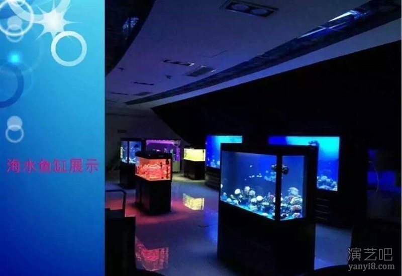 海洋生物展资源各种观赏生物展览海洋展租赁