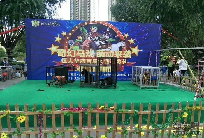 黑龙江省各地区出租海狮表演 马戏团表演租赁（流程详解