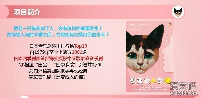 音乐剧《想变成人的猫》2018全国巡演火爆开启