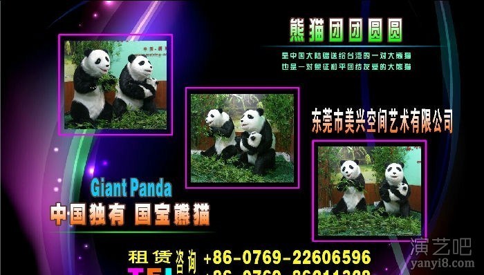 高仿真机械熊猫--熊猫乐队
