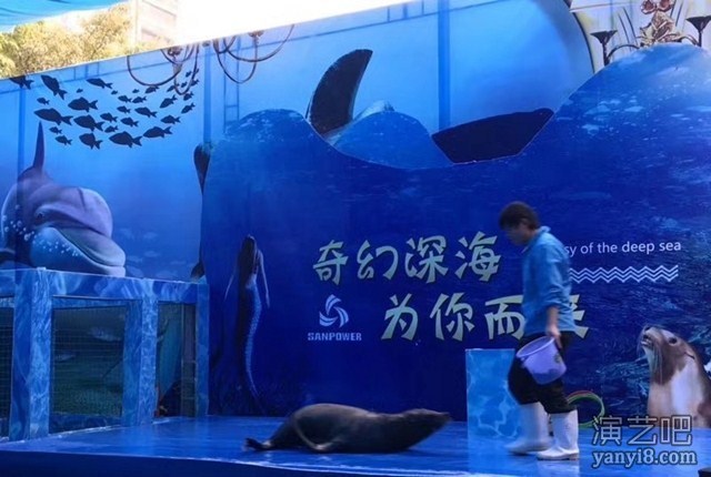 辽宁海狮表演出租 租赁海洋鱼缸展水母展布展