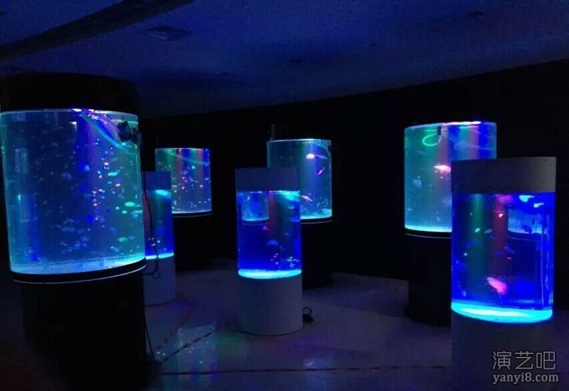 创意海洋主题展景观方案海洋生物展鱼缸出租