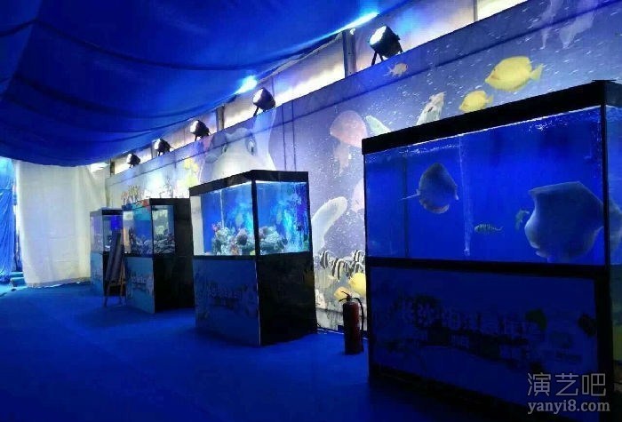 海洋生物展观赏海洋生物出租高端水族箱租赁