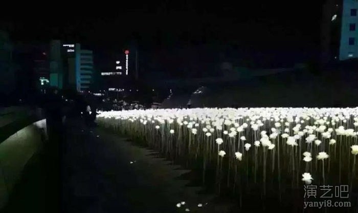 玫瑰花海出租玫瑰花海设计制作浪漫花海求婚花海