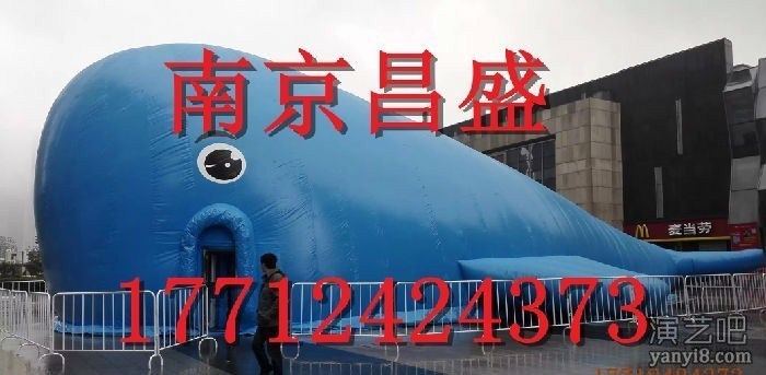 浙江杭州宁波绍兴余姚鲸鱼岛出租大型鲸鱼岛价格租赁