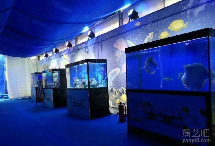海洋艺术主题展览景观海洋生物出租观赏海洋展租赁