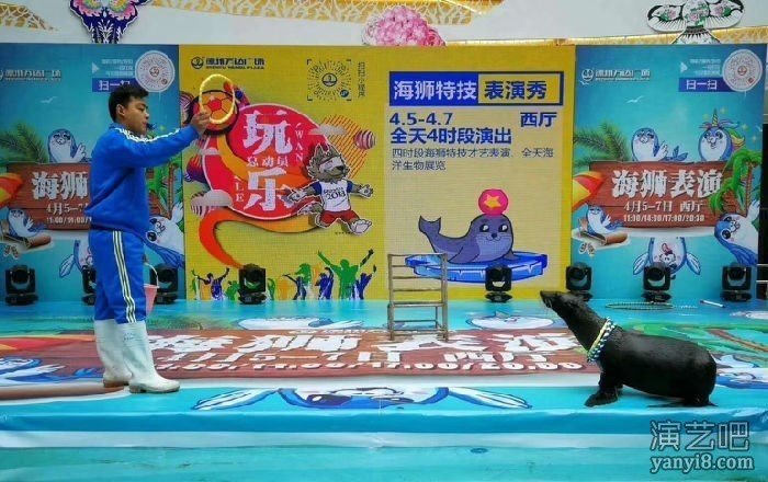 贵阳对外出租海狮表演秀 海马海豹企鹅展览美人鱼表演