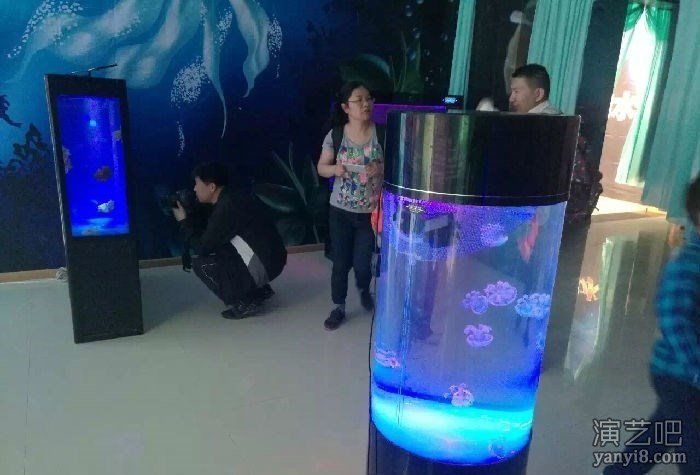 高端海洋展观赏鱼缸展示出租海洋生物展海狮互动租赁