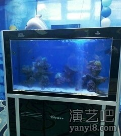 海洋生物展出租