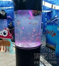 海洋生物展出租