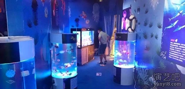 海洋生物展展览