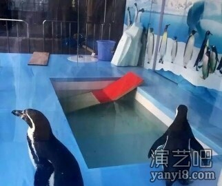 海洋生物展出租