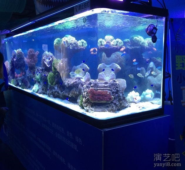 海洋生物展展览