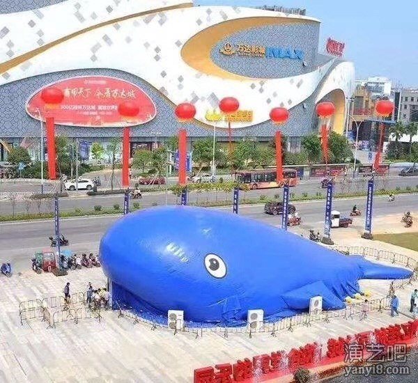儿童游乐乐园鲸鱼岛出租租赁 大型蓝色鲸鱼乐园租赁