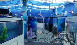 海洋生物展出租