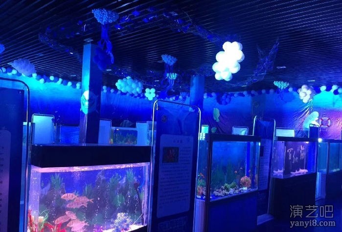 海洋生物展出租海狮表演海洋展费用鱼缸展租赁
