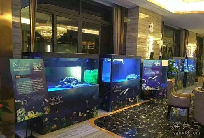 各种珍稀海洋生物展览海狮表演观赏海洋生物出租