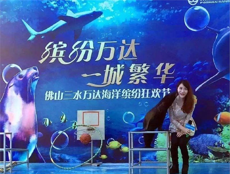 海狮表演租赁公司观赏海洋生物主题展览海洋展出租