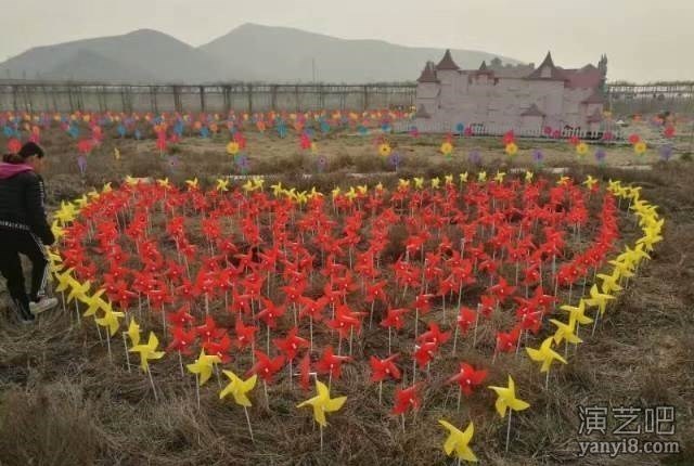 山东莱芜专业承接风车节出售