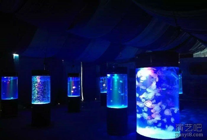 海洋鱼类展览出租海狮表演出租价格梦幻海洋生物展出售