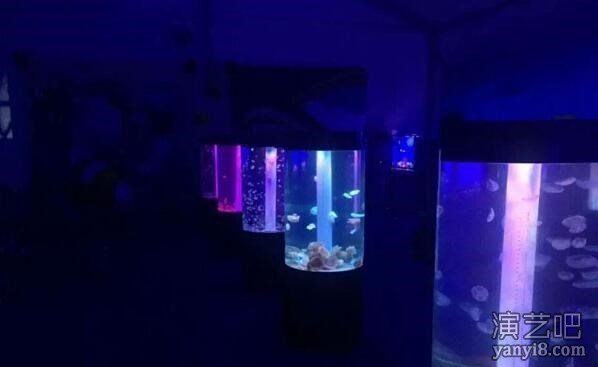 海洋展出租移动海洋馆展览租聘海洋生物展费用