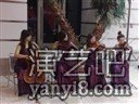 供应杭州小提琴表演