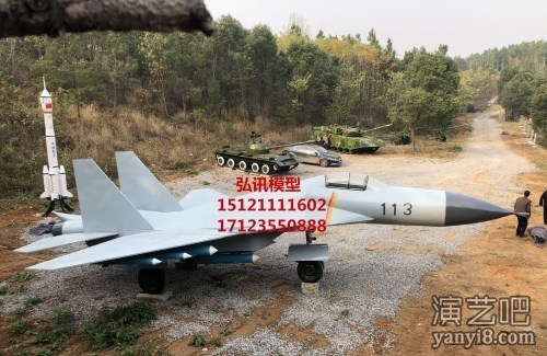 军事主题公园热火朝天！大型歼20飞机模型展览 飞机模型
