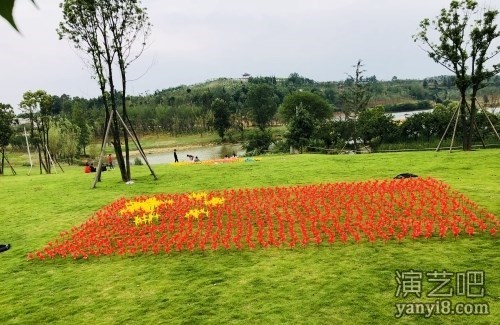 全国首家七彩风车节设计团队 地面风车造型设计 风车走