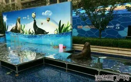 海洋生物展出租