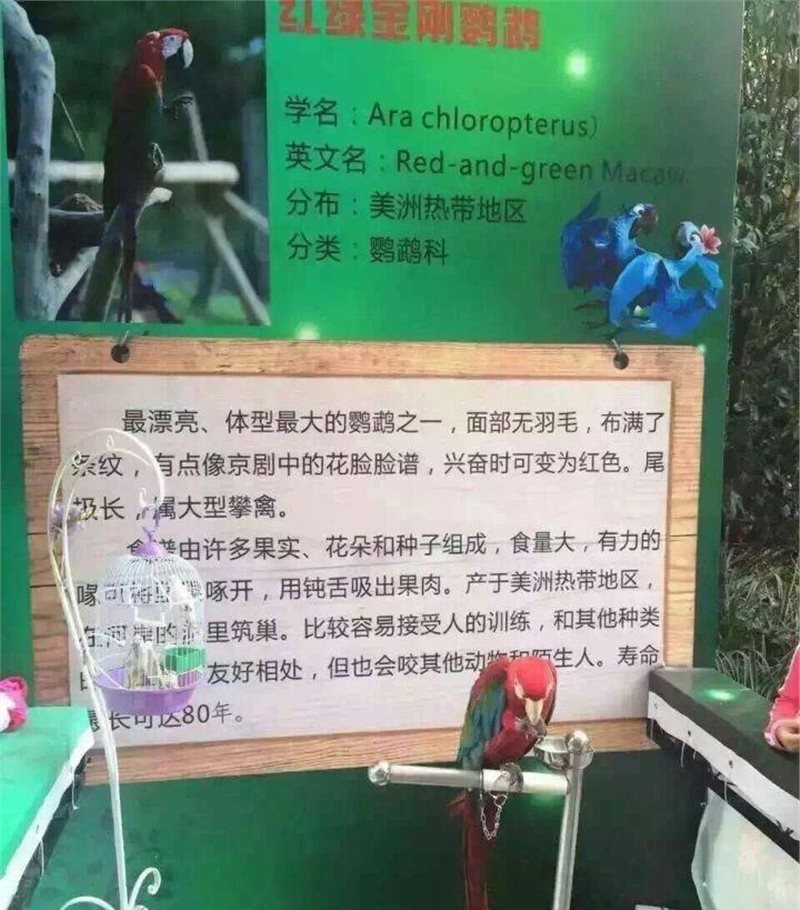 萌宠动物展租赁火爆各种萌宠动物杂技表演出租费用