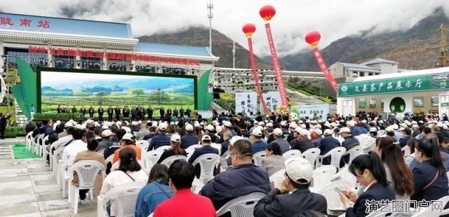 甘肃陇南茶文化旅游节芙蓉门女子茶道茶艺表演冲泡“御泽春”