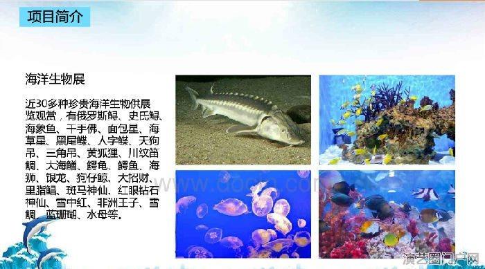 梦幻海洋生物主题展览海洋展公司大型海洋展租赁