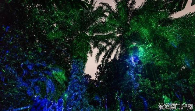 夜游光影—幻光雨林之夜