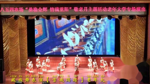 854老年大学专场演出/藏族舞蹈【雪域踢踏】舞蹈五班表演