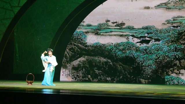 访桑园一徐伟芳，汤达演出