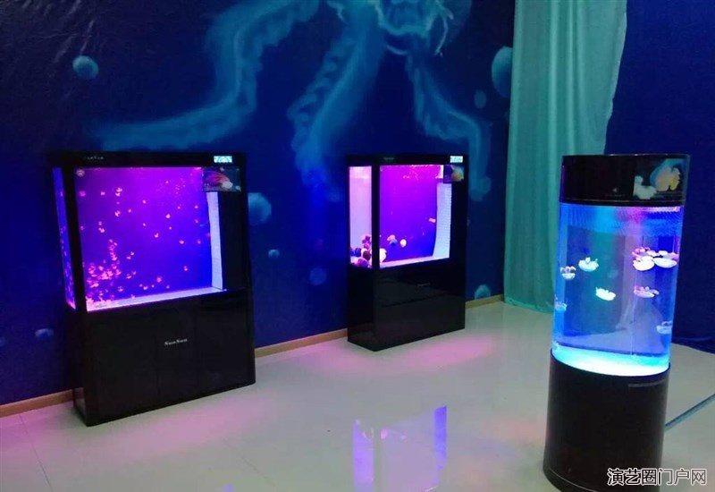 海洋展出租海洋生物展出租租赁海洋鱼缸展出租出售